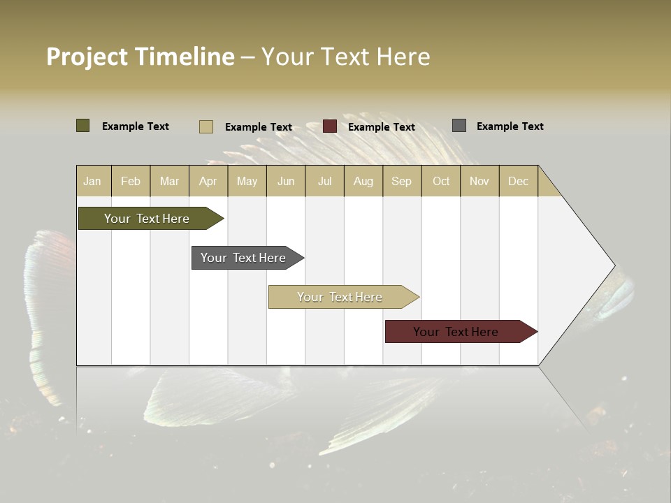 Black Fish Swim PowerPoint Template