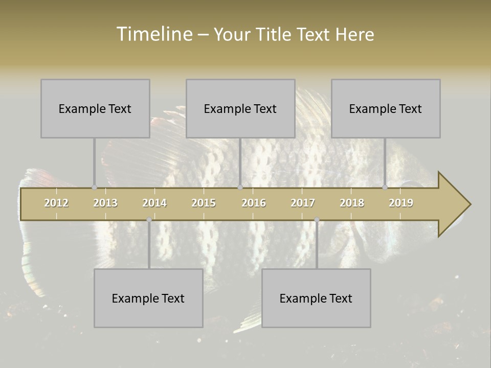Black Fish Swim PowerPoint Template