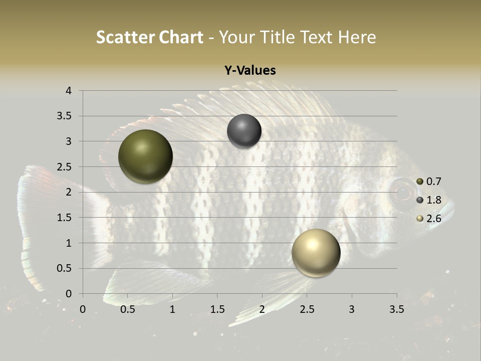 Black Fish Swim PowerPoint Template