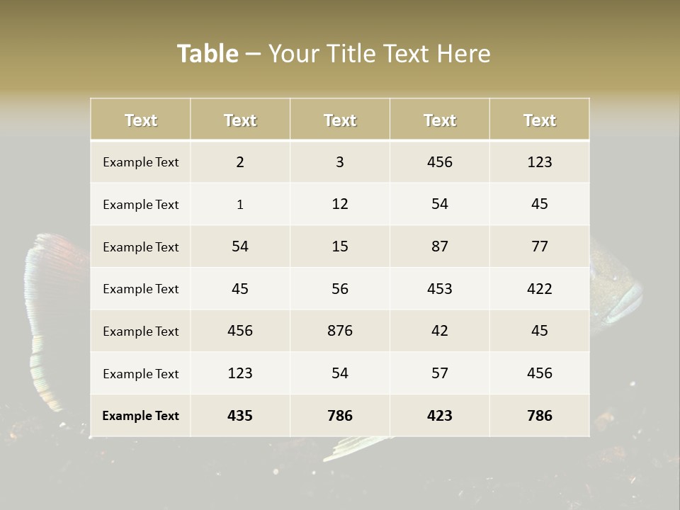 Black Fish Swim PowerPoint Template