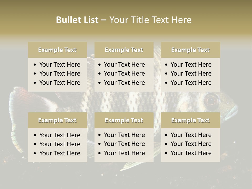 Black Fish Swim PowerPoint Template