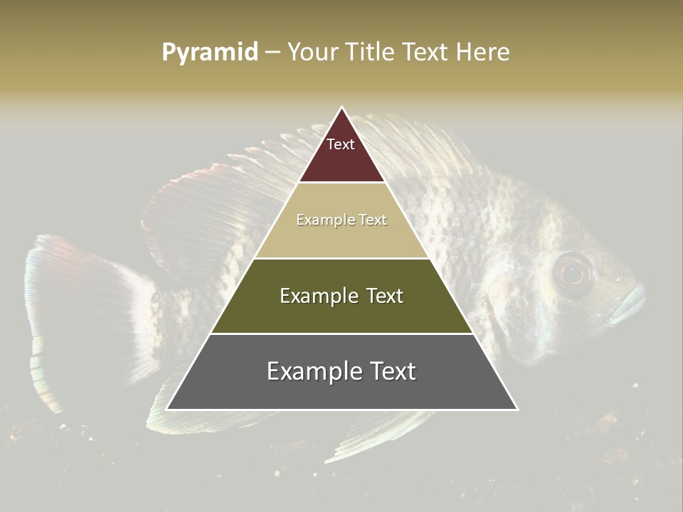 Black Fish Swim PowerPoint Template