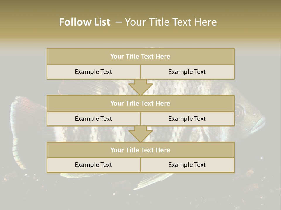 Black Fish Swim PowerPoint Template