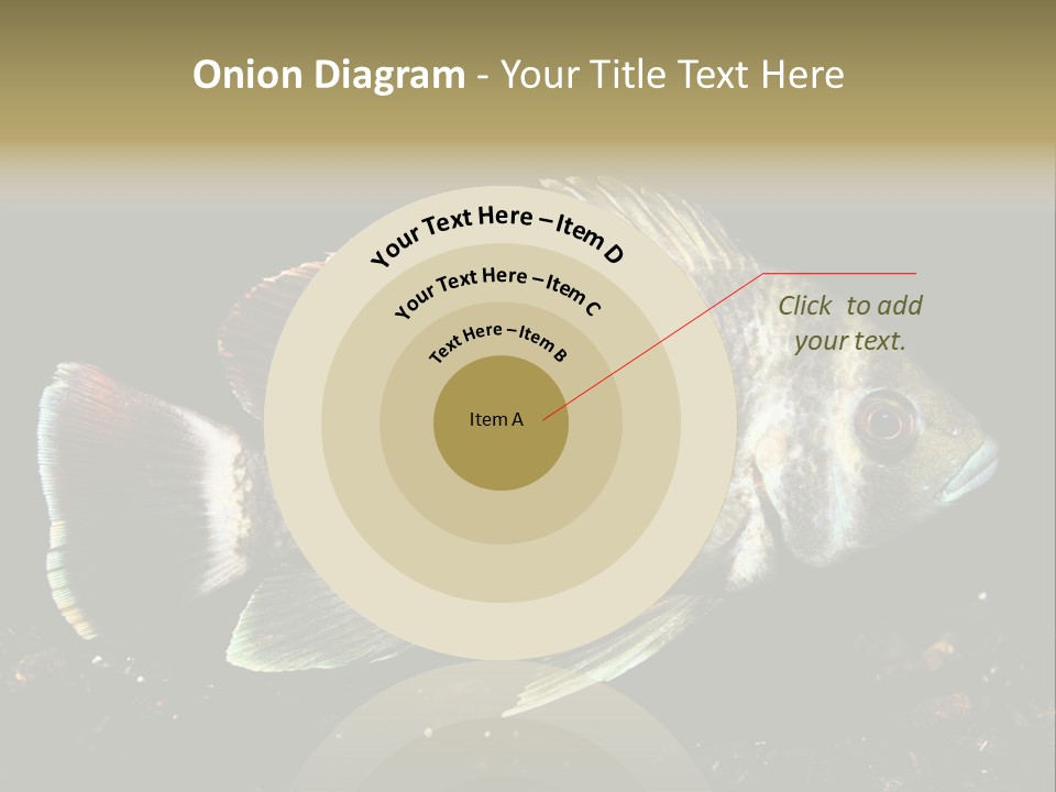 Black Fish Swim PowerPoint Template