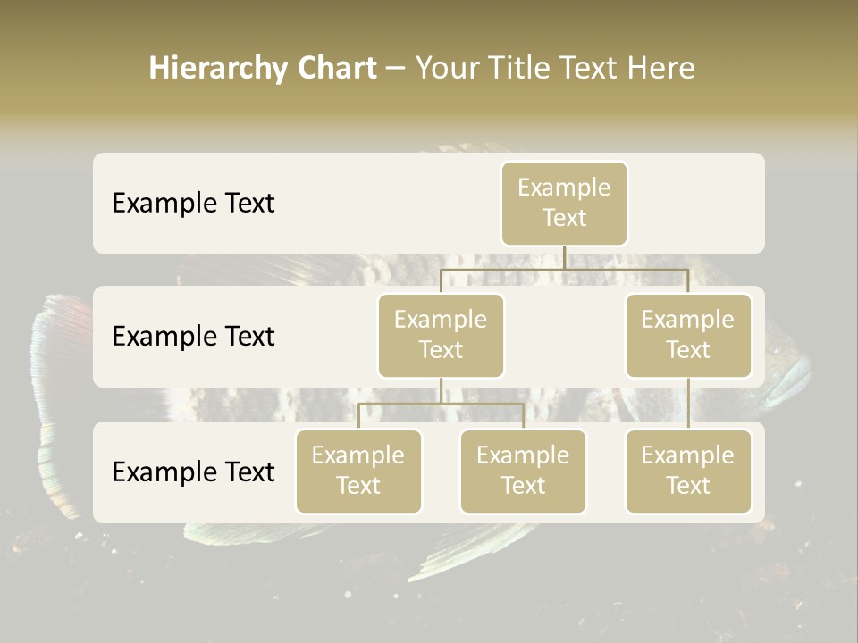 Black Fish Swim PowerPoint Template