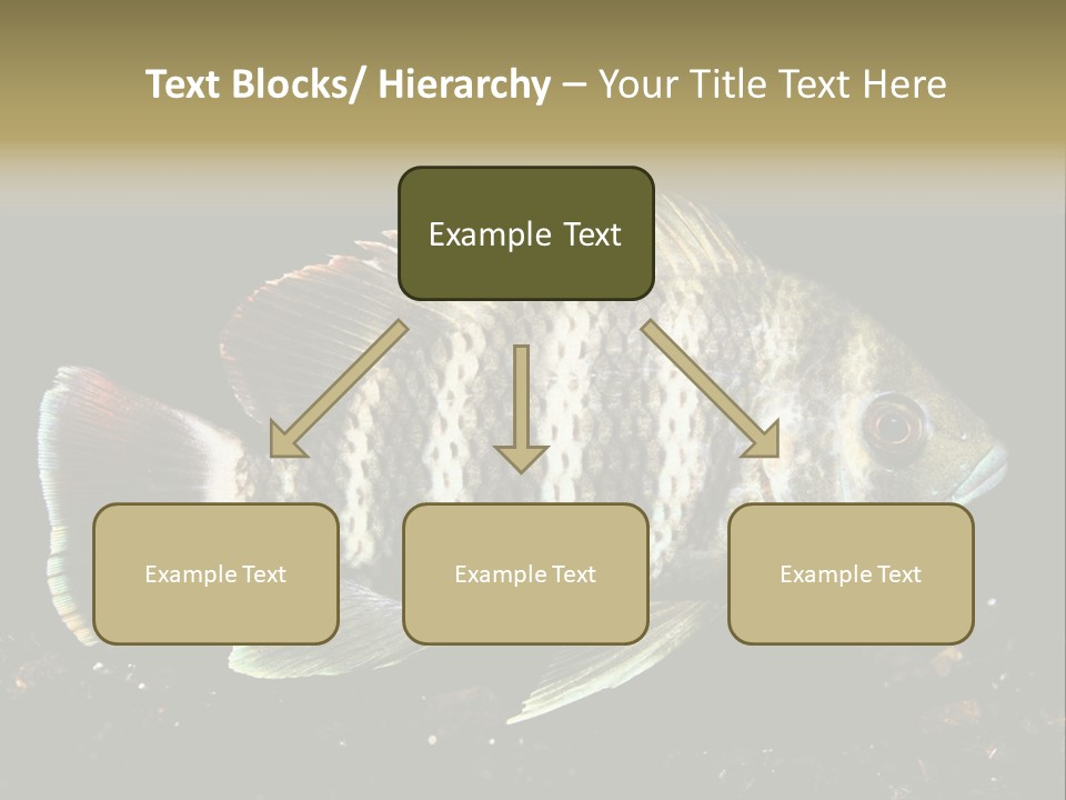 Black Fish Swim PowerPoint Template