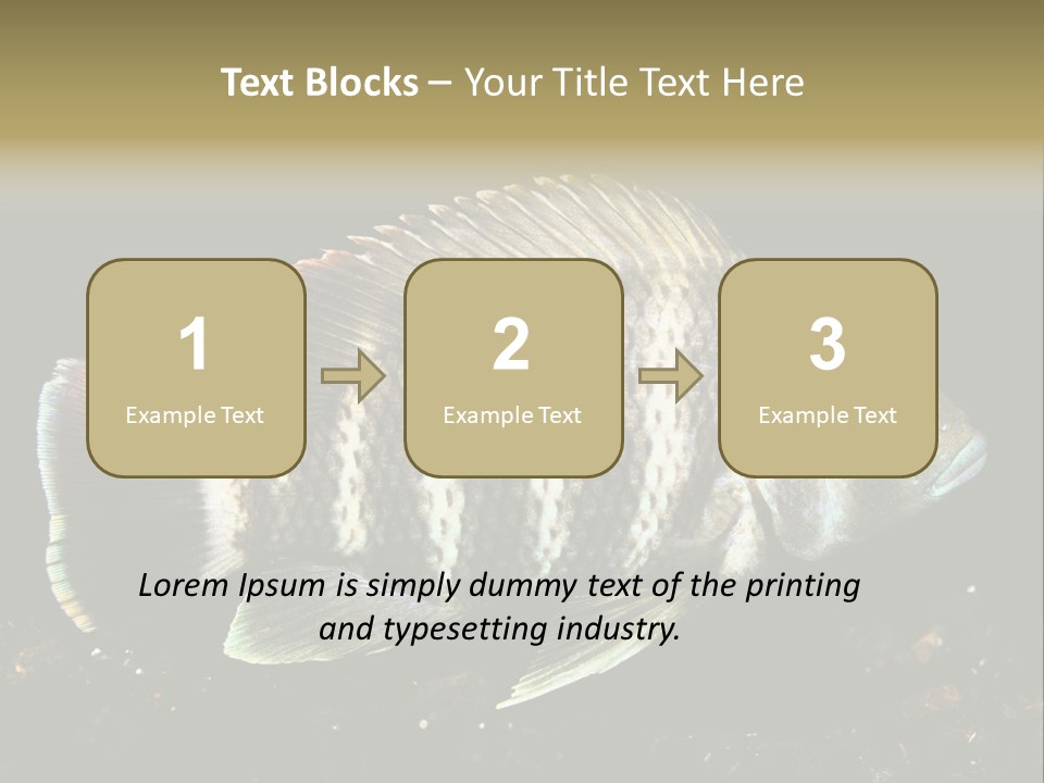 Black Fish Swim PowerPoint Template