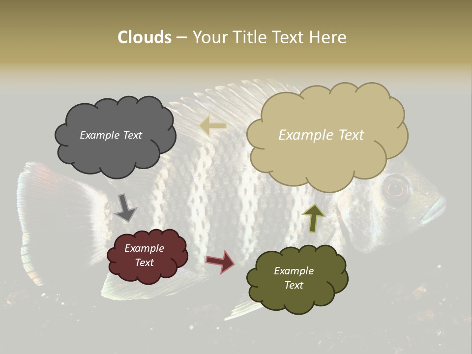 Black Fish Swim PowerPoint Template