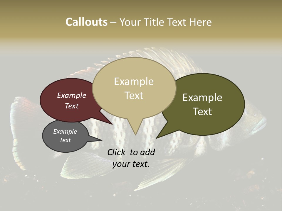 Black Fish Swim PowerPoint Template