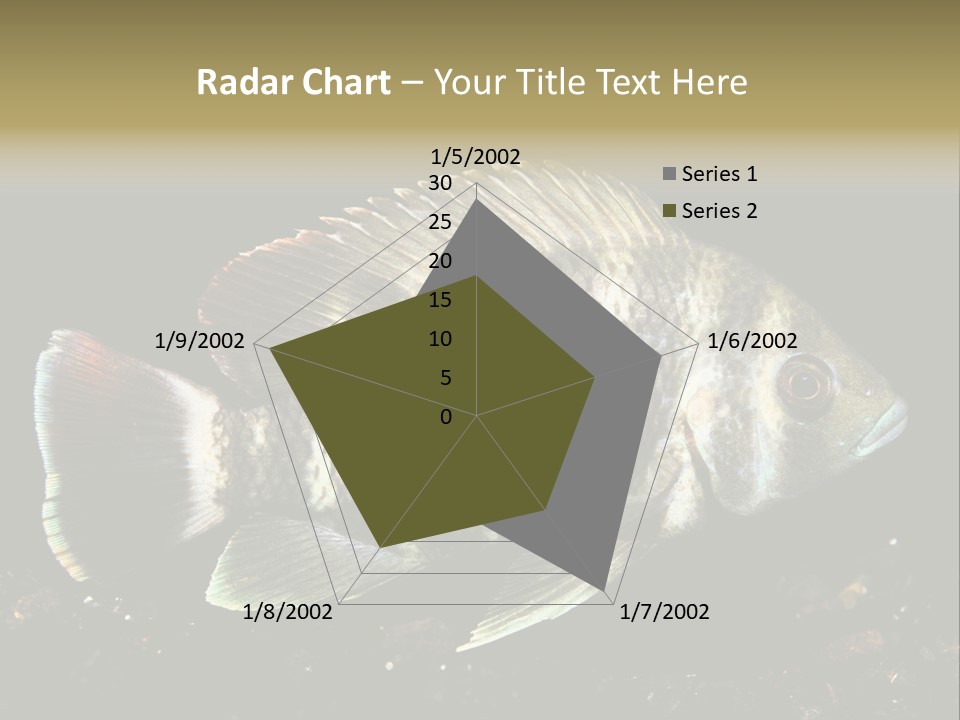 Black Fish Swim PowerPoint Template