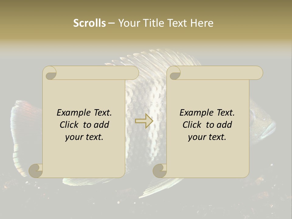 Black Fish Swim PowerPoint Template