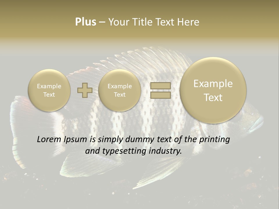 Black Fish Swim PowerPoint Template