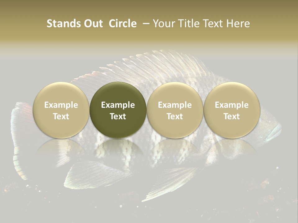 Black Fish Swim PowerPoint Template