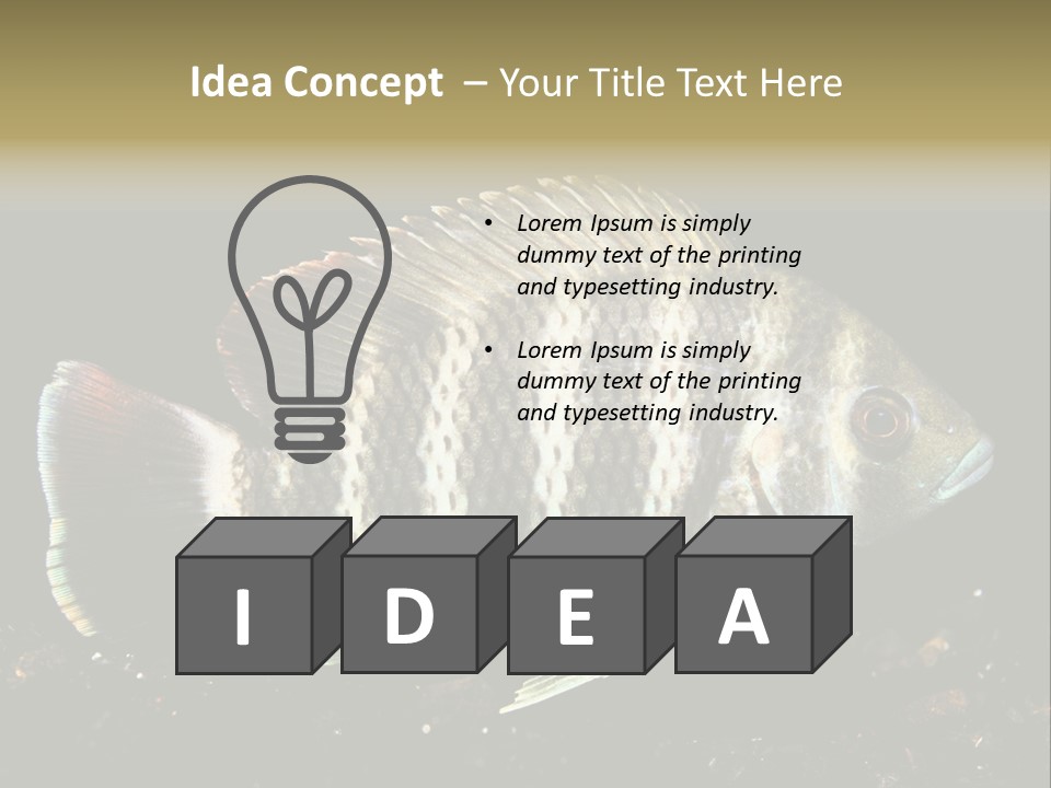 Black Fish Swim PowerPoint Template