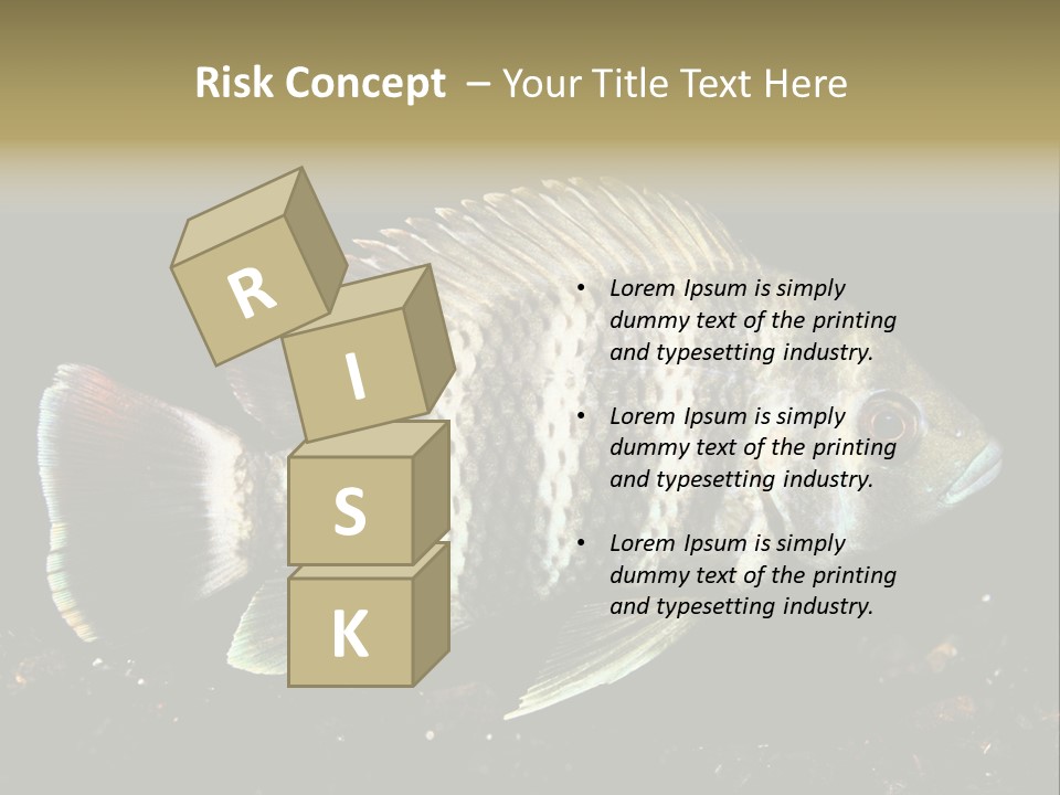 Black Fish Swim PowerPoint Template