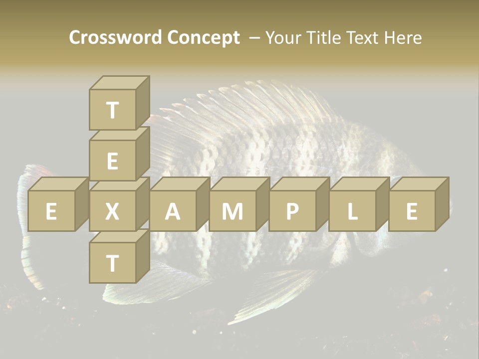 Black Fish Swim PowerPoint Template