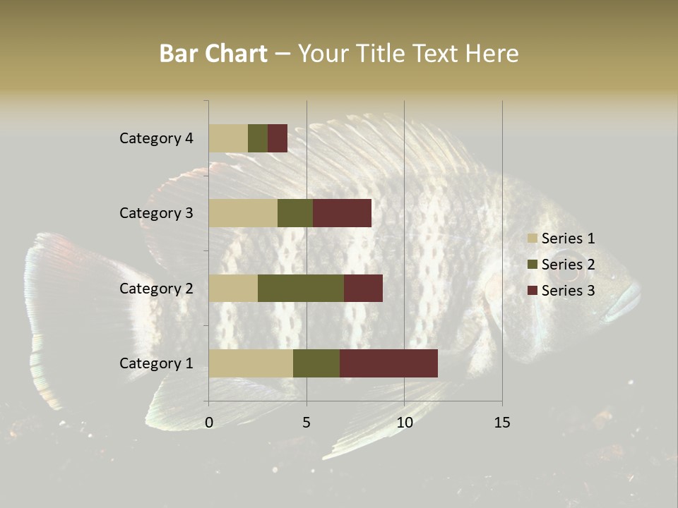 Black Fish Swim PowerPoint Template