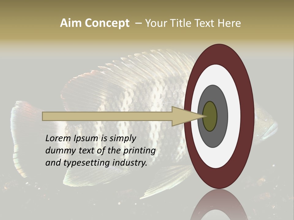 Black Fish Swim PowerPoint Template