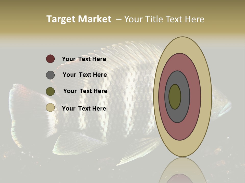 Black Fish Swim PowerPoint Template