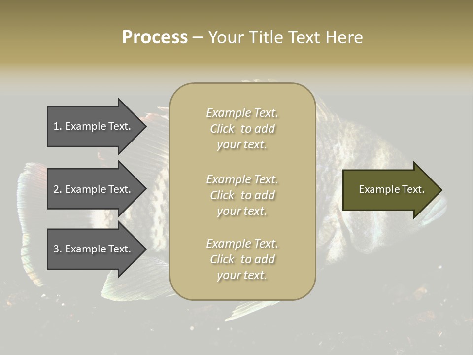 Black Fish Swim PowerPoint Template