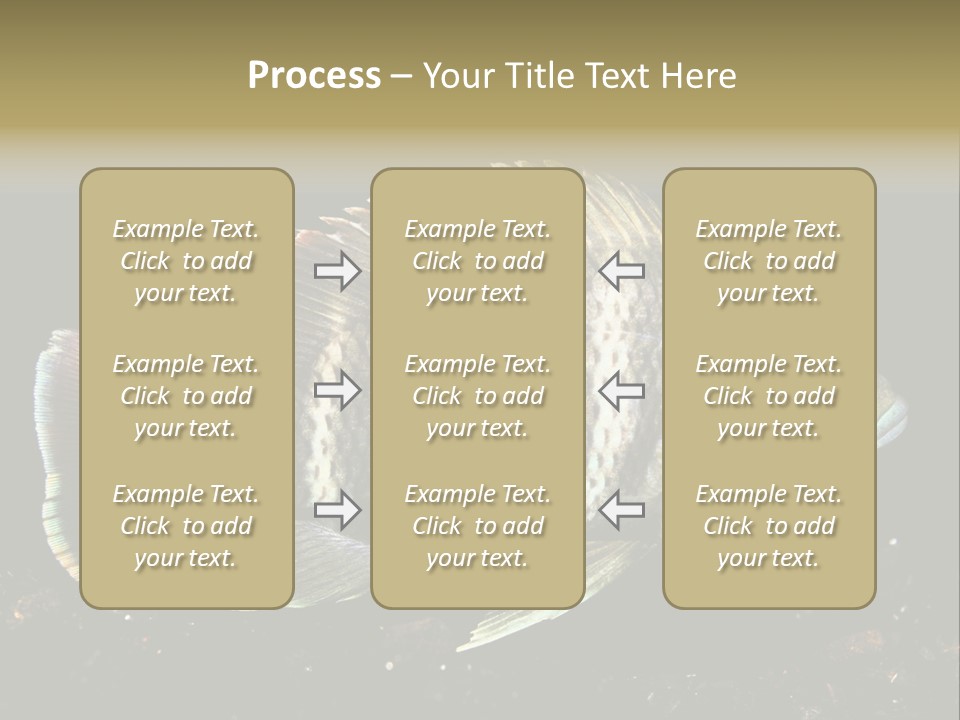 Black Fish Swim PowerPoint Template