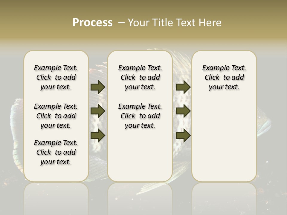 Black Fish Swim PowerPoint Template