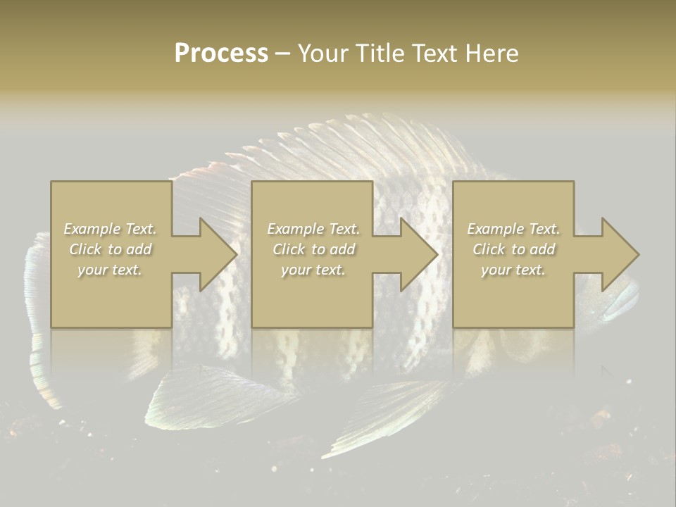 Black Fish Swim PowerPoint Template
