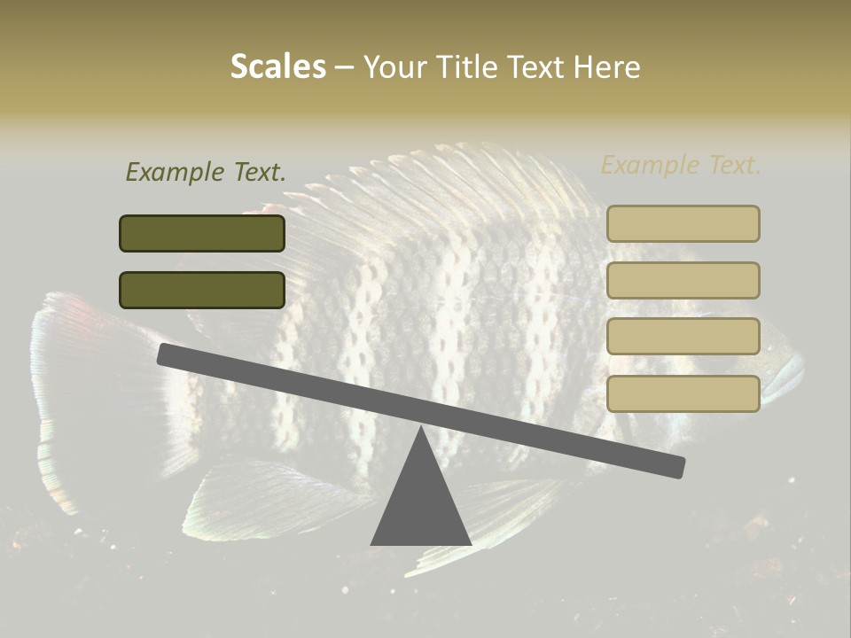 Black Fish Swim PowerPoint Template