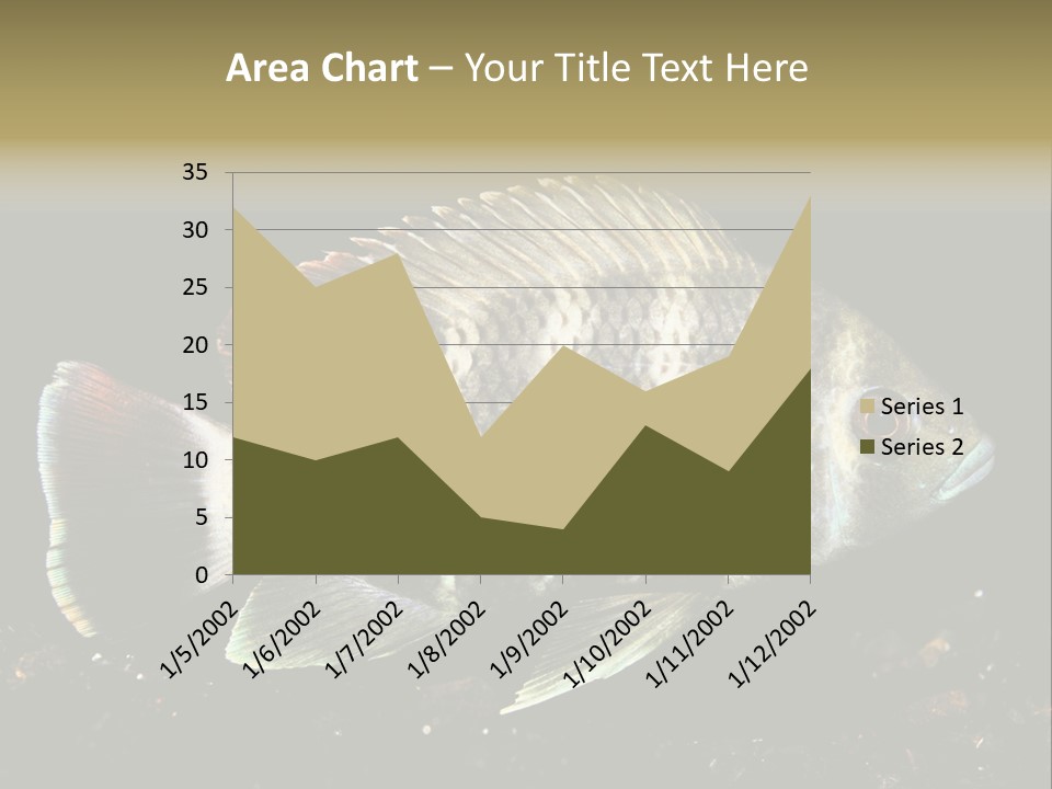 Black Fish Swim PowerPoint Template