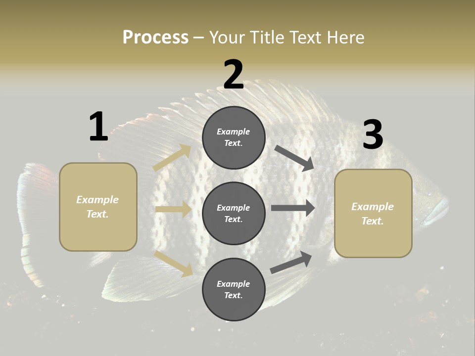 Black Fish Swim PowerPoint Template