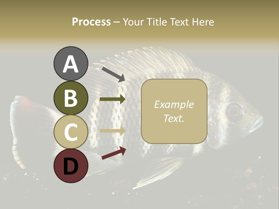 Black Fish Swim PowerPoint Template