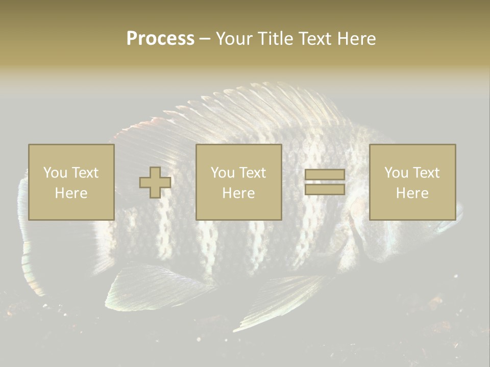 Black Fish Swim PowerPoint Template