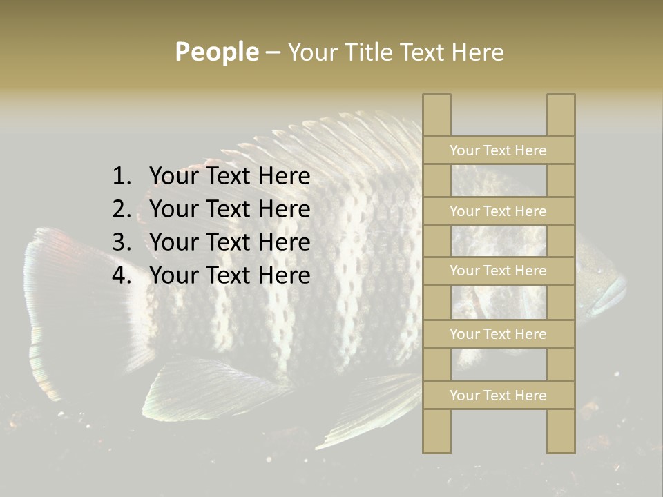 Black Fish Swim PowerPoint Template