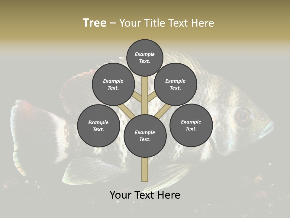 Black Fish Swim PowerPoint Template