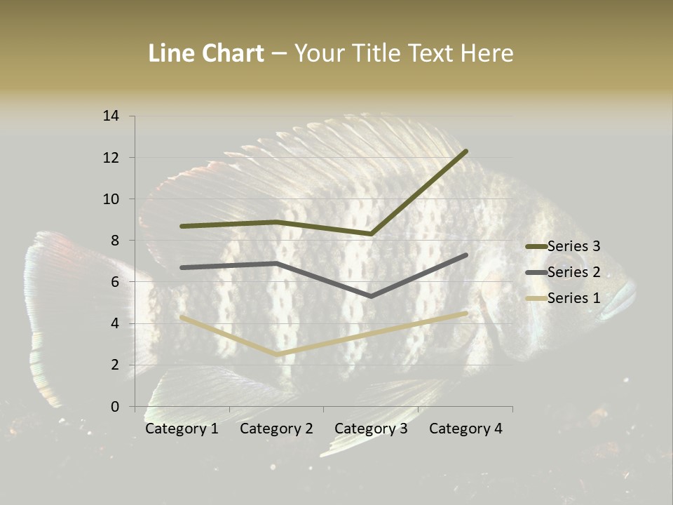 Black Fish Swim PowerPoint Template