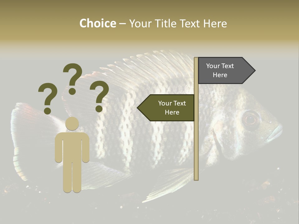 Black Fish Swim PowerPoint Template