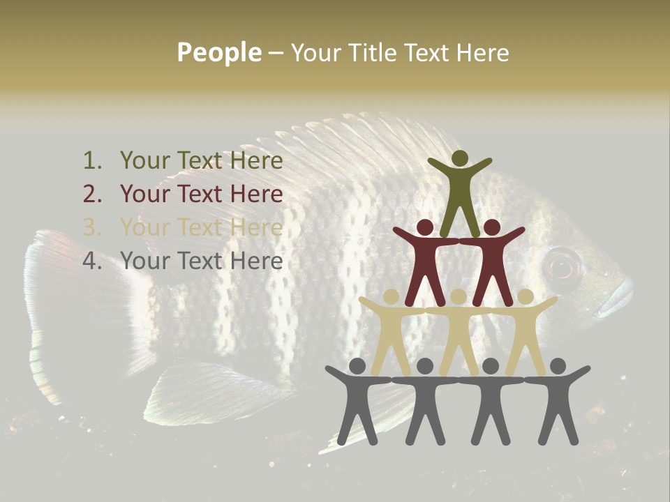 Black Fish Swim PowerPoint Template