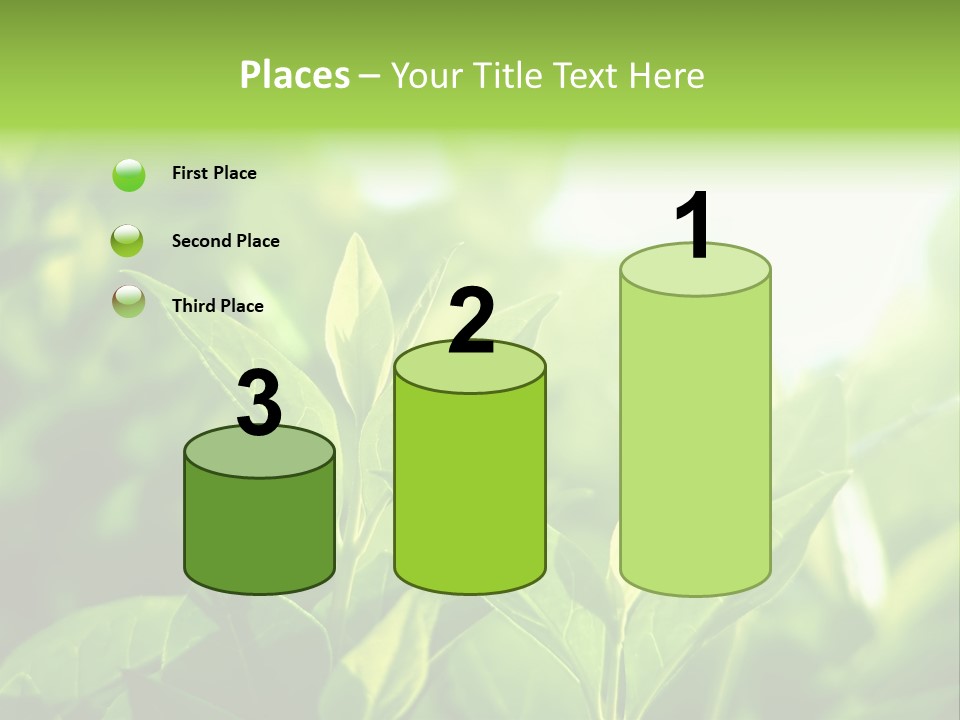 A Green Leafy Plant Is Shown In This Powerpoint Presentation PowerPoint Template