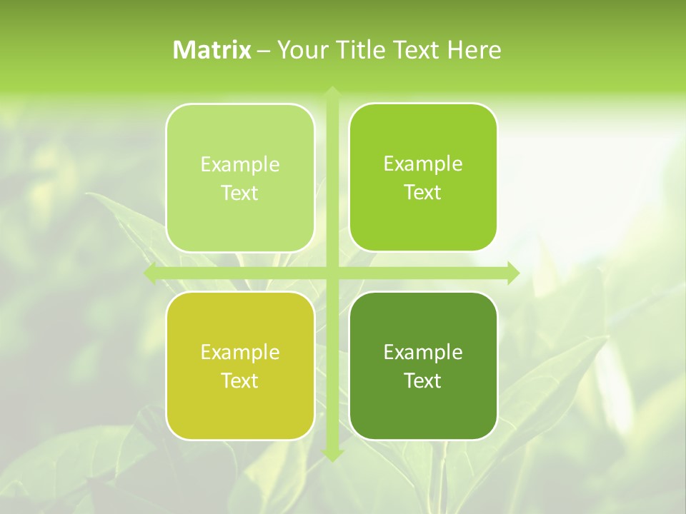 A Green Leafy Plant Is Shown In This Powerpoint Presentation PowerPoint Template