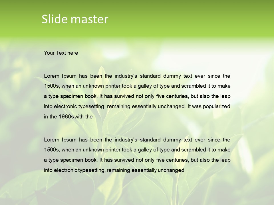 A Green Leafy Plant Is Shown In This Powerpoint Presentation PowerPoint Template