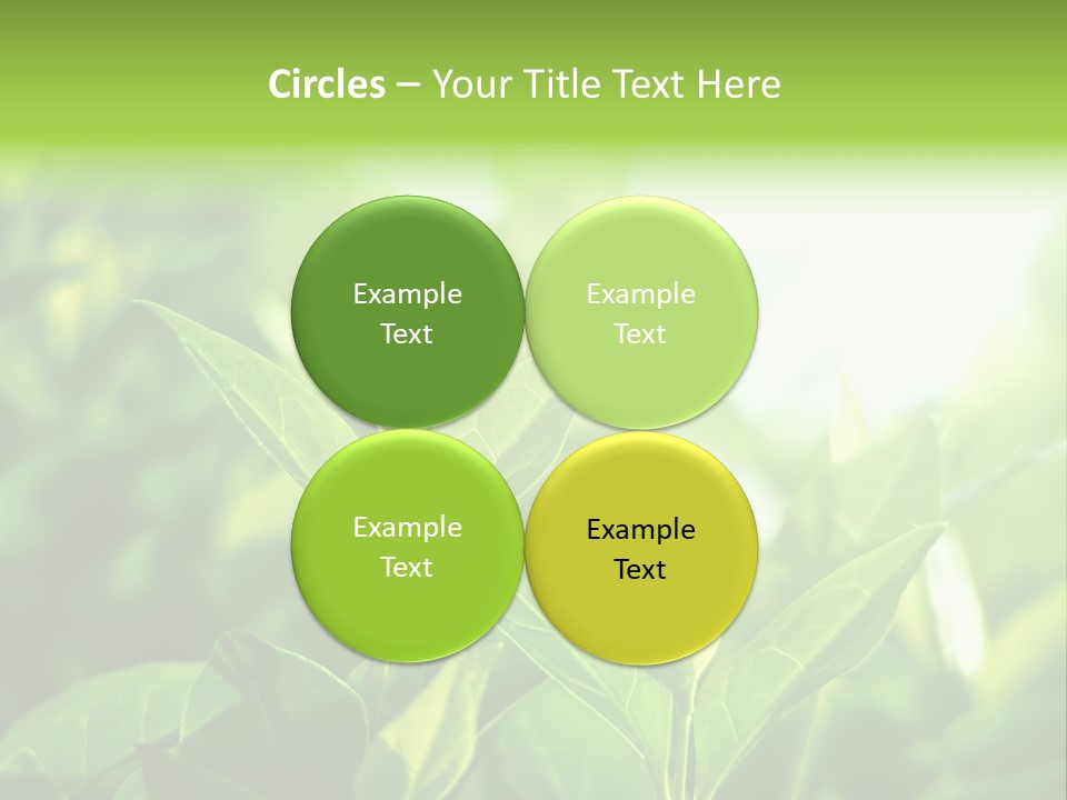 A Green Leafy Plant Is Shown In This Powerpoint Presentation PowerPoint Template