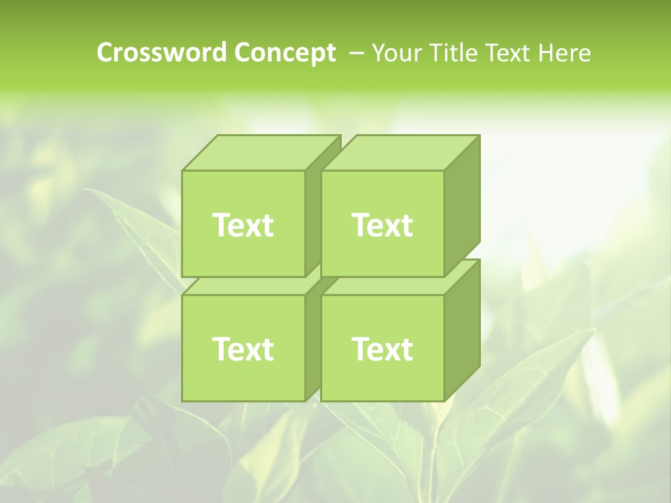 A Green Leafy Plant Is Shown In This Powerpoint Presentation PowerPoint Template