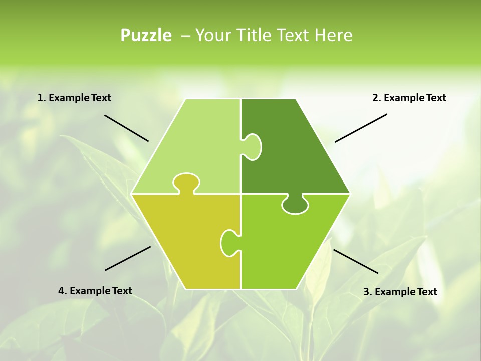 A Green Leafy Plant Is Shown In This Powerpoint Presentation PowerPoint Template