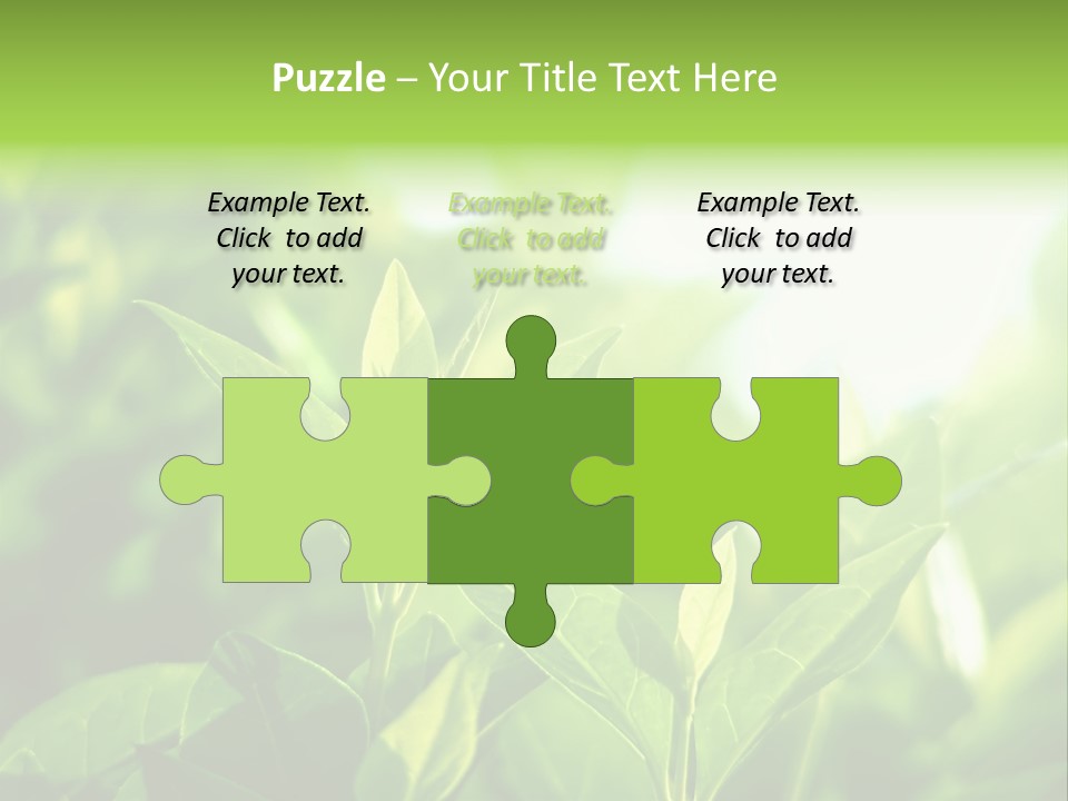 A Green Leafy Plant Is Shown In This Powerpoint Presentation PowerPoint Template