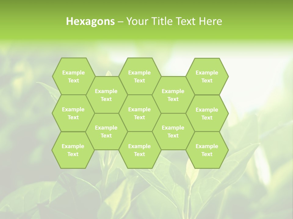 A Green Leafy Plant Is Shown In This Powerpoint Presentation PowerPoint Template