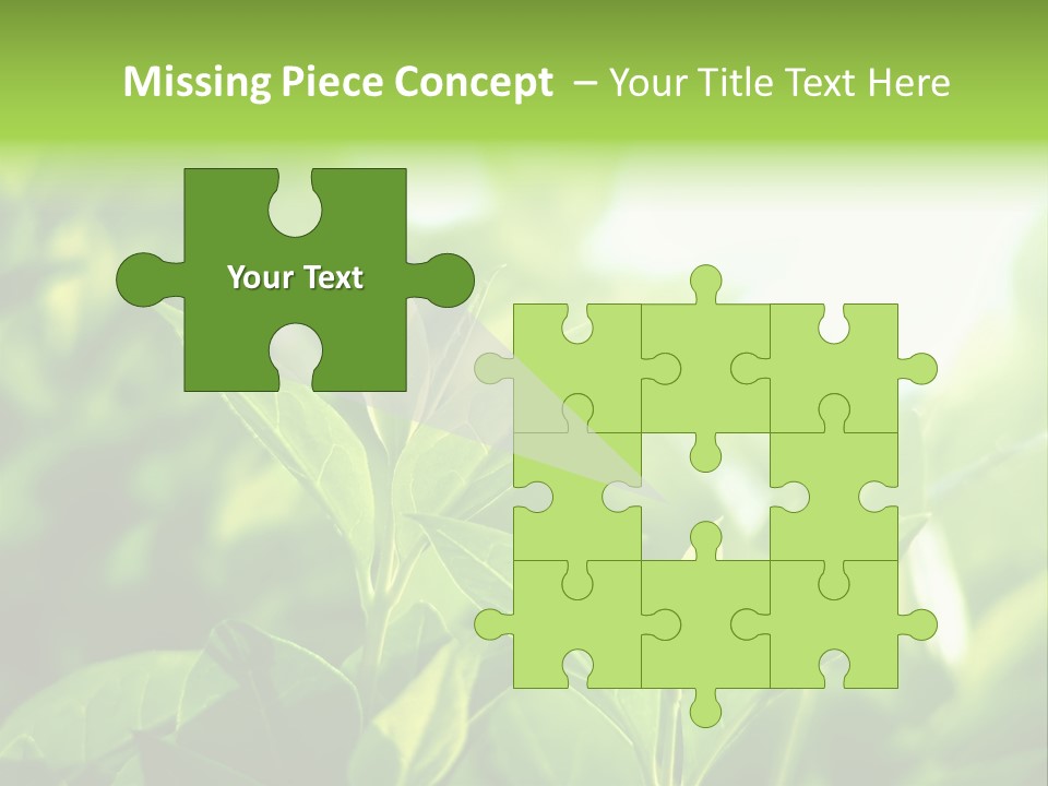 A Green Leafy Plant Is Shown In This Powerpoint Presentation PowerPoint Template