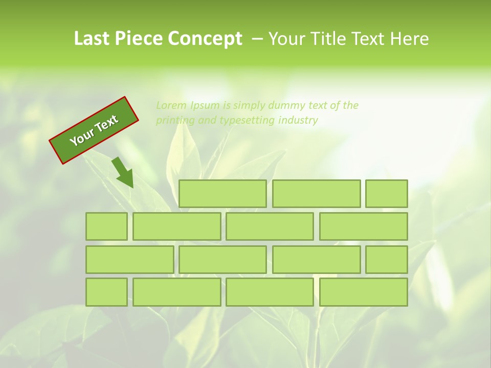 A Green Leafy Plant Is Shown In This Powerpoint Presentation PowerPoint Template