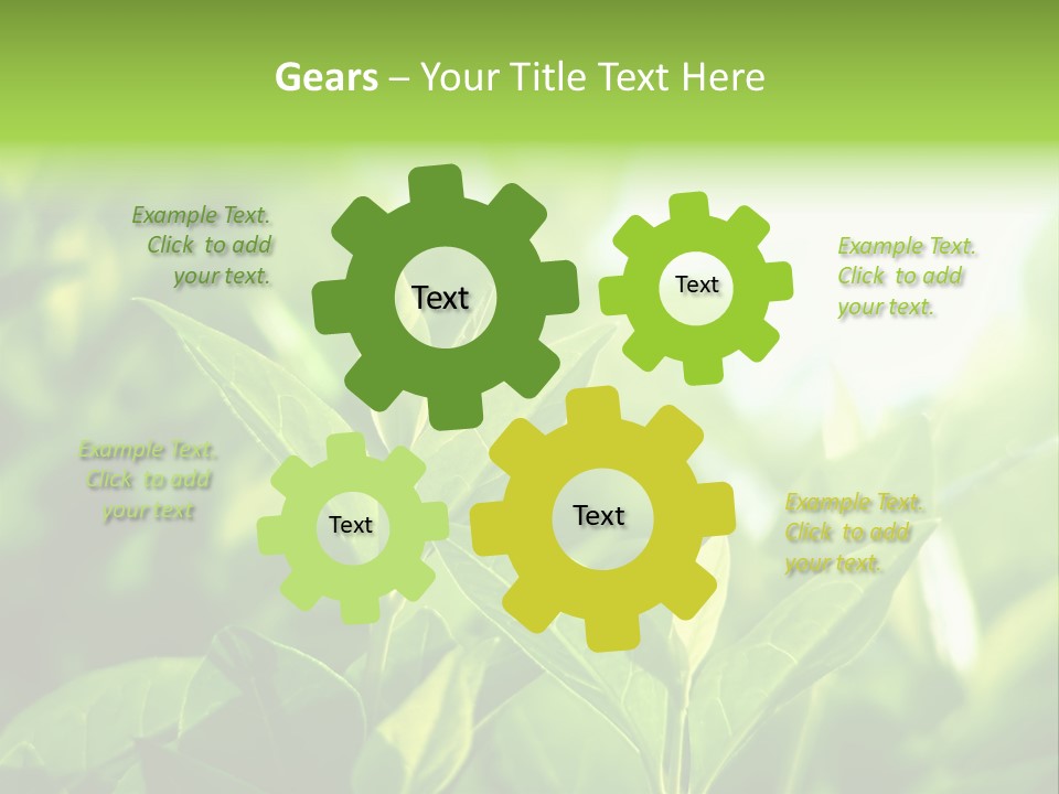 A Green Leafy Plant Is Shown In This Powerpoint Presentation PowerPoint Template