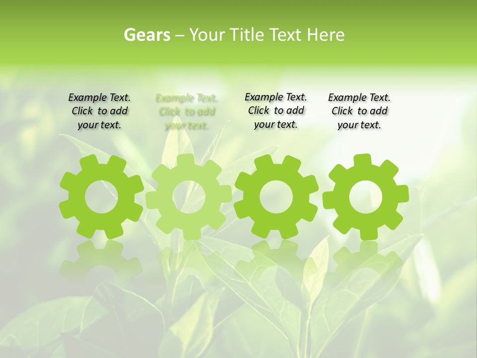 A Green Leafy Plant Is Shown In This Powerpoint Presentation PowerPoint Template