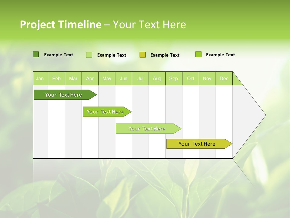 A Green Leafy Plant Is Shown In This Powerpoint Presentation PowerPoint Template